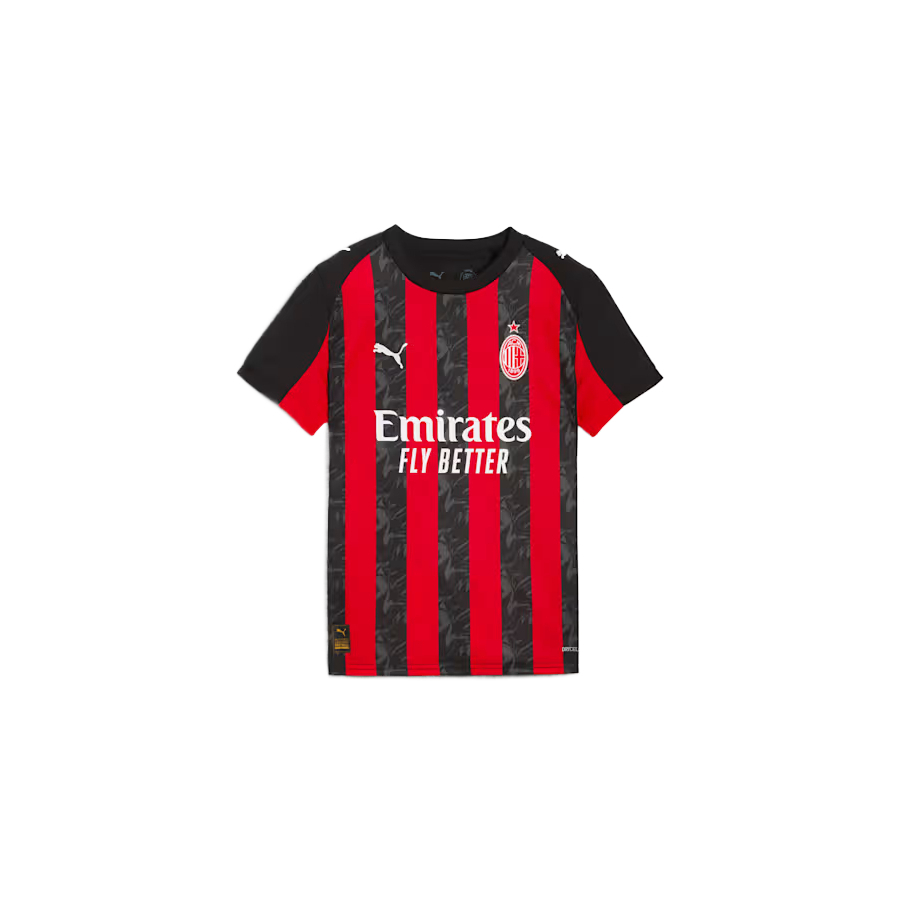 Футболка AC Milan домашняя для детей 3-7 лет PUMA, красный
Футболка AC Milan домашняя для детей 3-7 лет PUMA, красный
