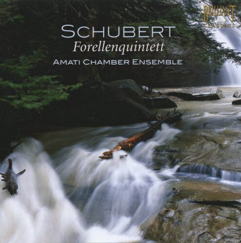 CD диск Schubert / Amati Chamber Ensemble: Forellenquintet
CD диск Schubert / Amati Chamber Ensemble: Forellenquintet