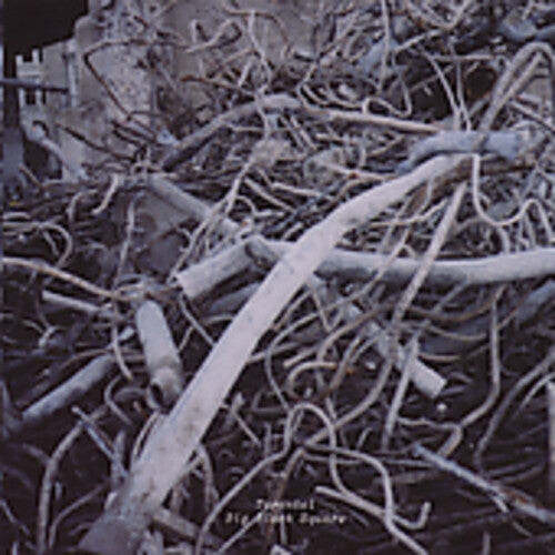 CD диск Tarentel: Big Black Square
CD диск Tarentel: Big Black Square