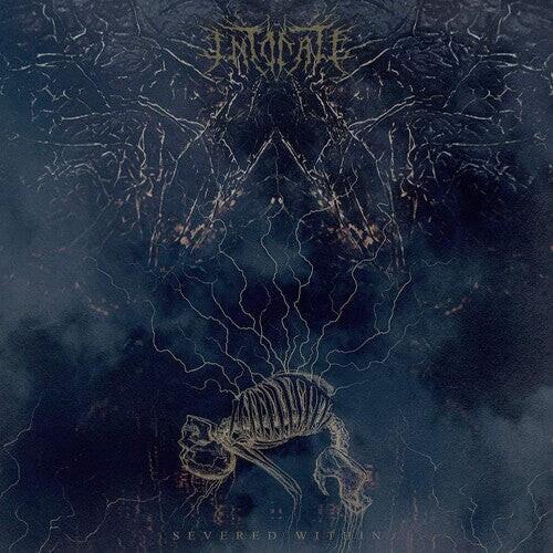 Виниловая пластинка Intonate: Severed WIthin
Виниловая пластинка Intonate: Severed WIthin