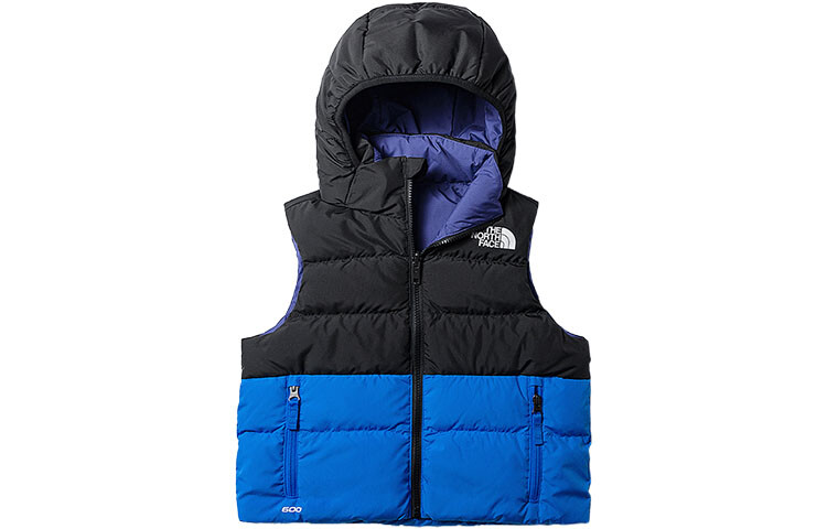 Детский жилет THE NORTH FACE, цвет Blue
Детский жилет THE NORTH FACE, цвет Blue