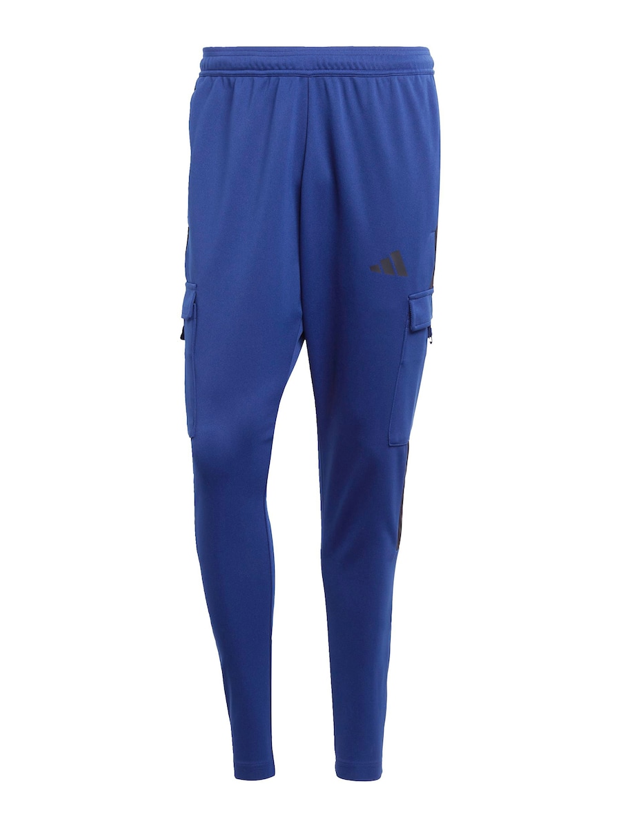 Облегающие спортивные брюки ADIDAS SPORTSWEAR Tiro, синий
Облегающие спортивные брюки ADIDAS SPORTSWEAR Tiro, синий