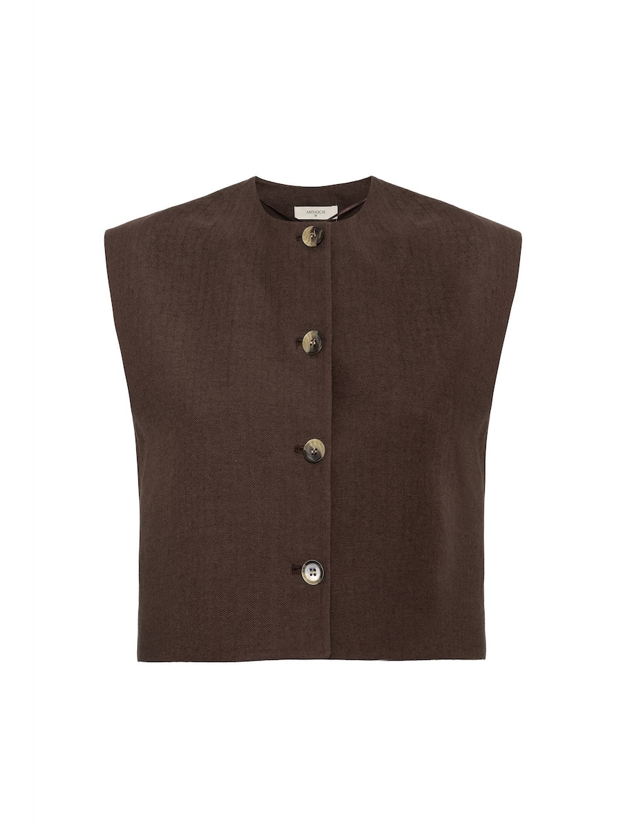 Жилет Antioch, темно-коричневый
Жилет Antioch, темно-коричневый