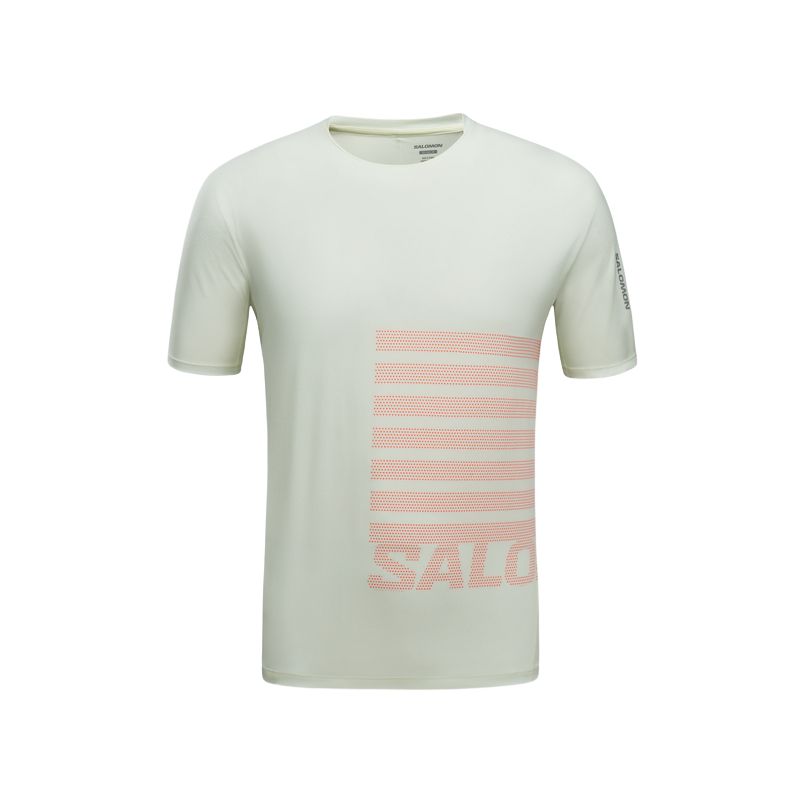 SALOMON Футболка Sense Aero SS мужская light ice green/neon red, Зеленый, SALOMON Футболка Sense Aero SS мужская light ice green/neon red
SALOMON Футболка Sense Aero SS мужская light ice green/neon red, Зеленый, SALOMON Футболка Sense Aero SS мужская light ice green/neon red