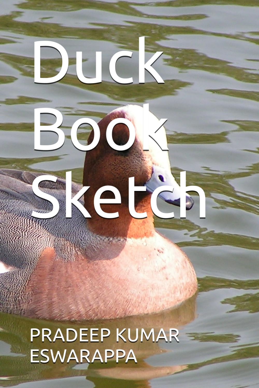 Duck Book Sketch (Independently published)
Duck Book Sketch (Independently published)