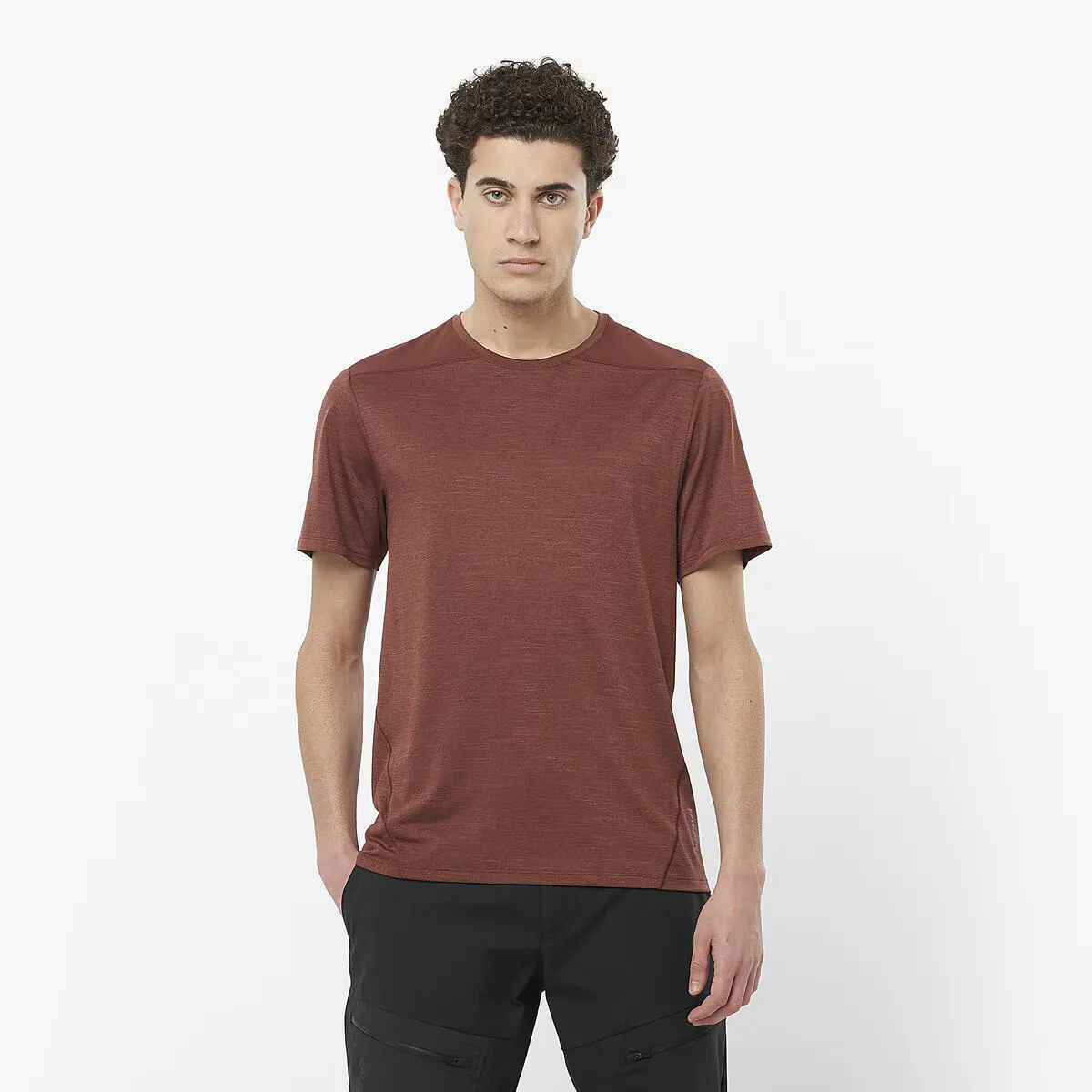 Мужская футболка Salomon Outline, коричневый
Мужская футболка Salomon Outline, коричневый