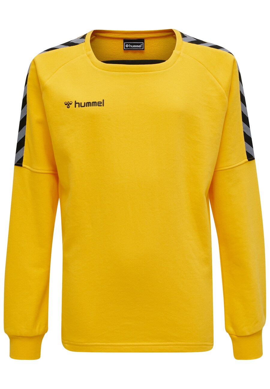 Спортивная толстовка Hummel Authentic, цвет Limone
Спортивная толстовка Hummel Authentic, цвет Limone