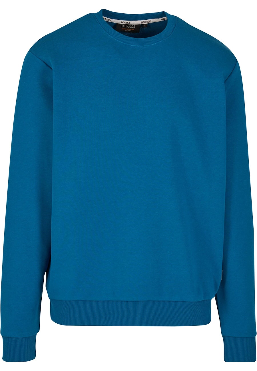 Толстовка INDICODE JEANS, небесно-голубой
Толстовка INDICODE JEANS, небесно-голубой