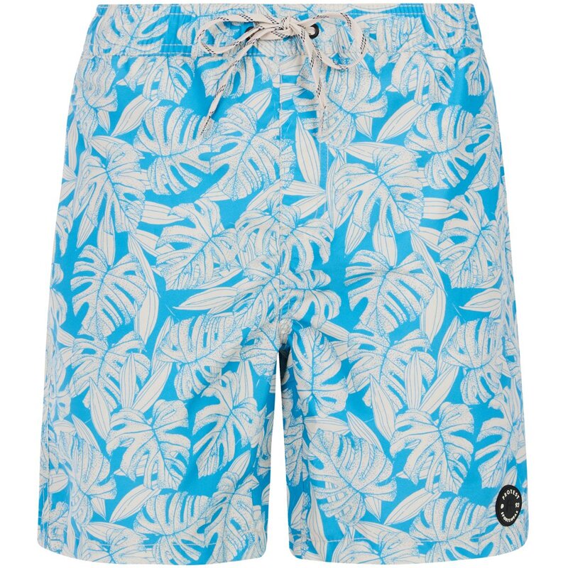 Шорты для плавания prtpedro Protest, синий
Шорты для плавания prtpedro Protest, синий