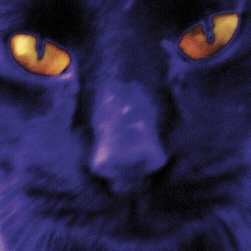 Виниловая пластинка Kilgour, David & The Heavy Eights - Bobbie'S A Girl
Виниловая пластинка Kilgour, David & The Heavy Eights - Bobbie'S A Girl