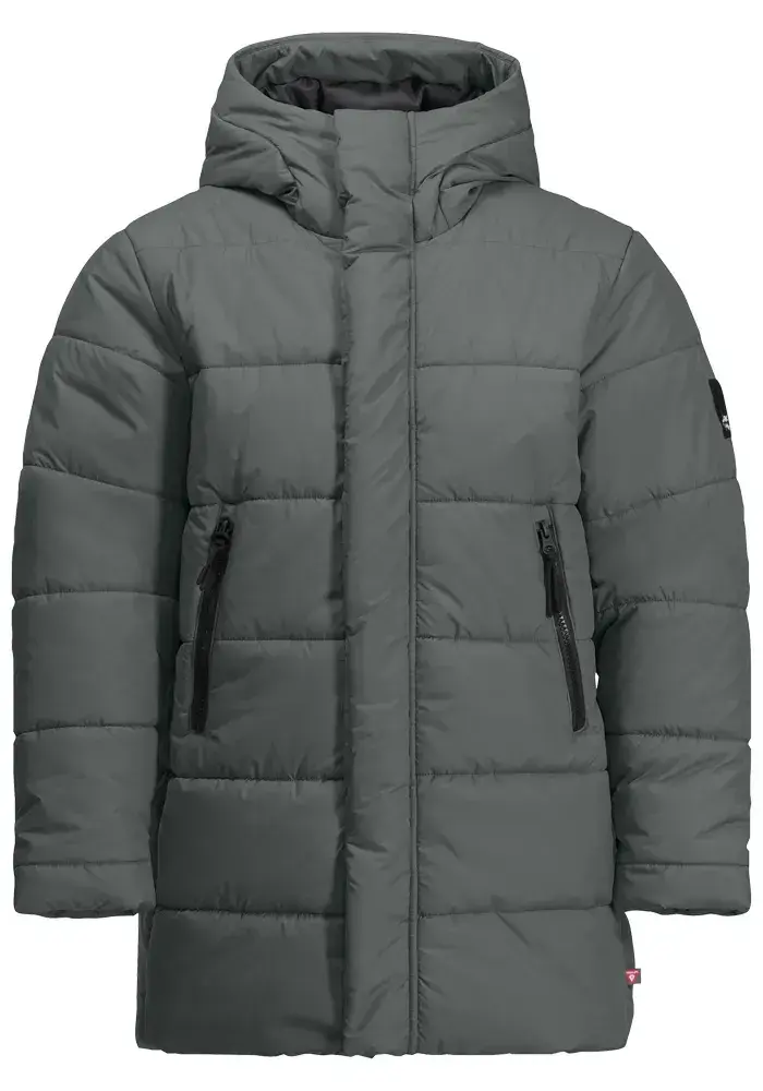 Куртка из софтшелла Jack Wolfskin "TEEN INS LONG JACKET Y", с капюшоном, зеленый
Куртка из софтшелла Jack Wolfskin "TEEN INS LONG JACKET Y", с капюшоном, зеленый