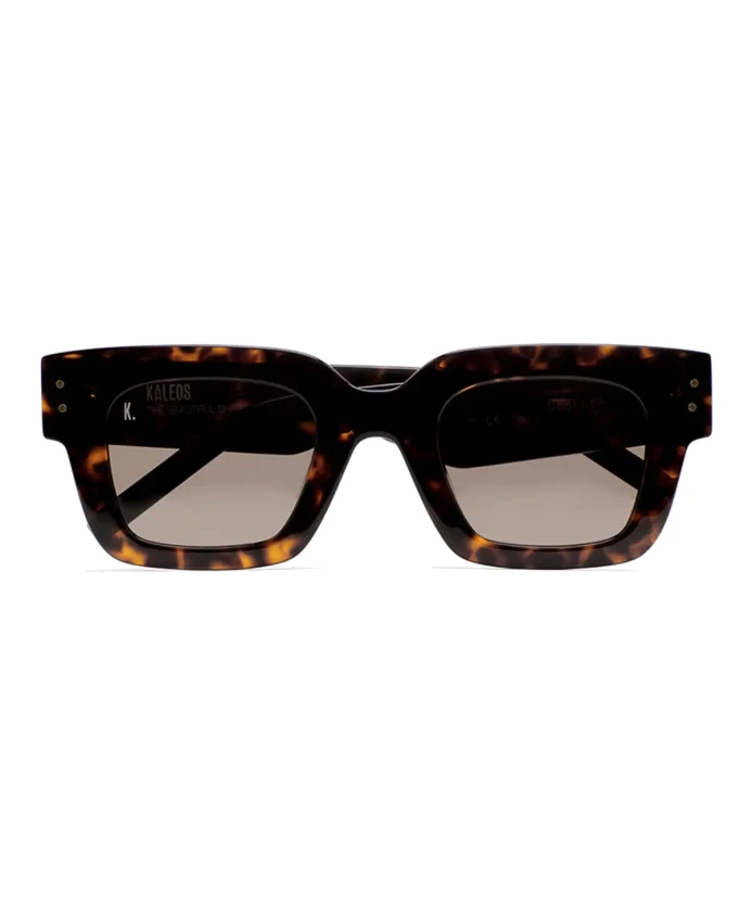 Солнцезащитные очки Debella c2 Kaleos, коричневый
Солнцезащитные очки Debella c2 Kaleos, коричневый