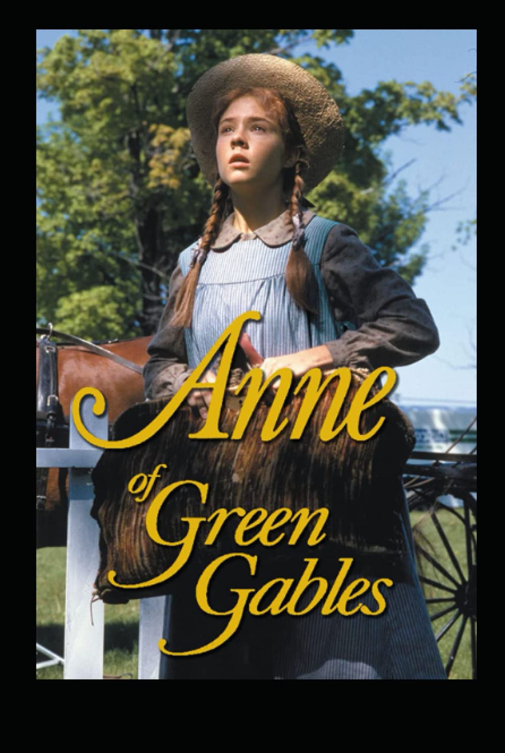 Anne of Green Gables (Independently published)
Anne of Green Gables (Independently published)