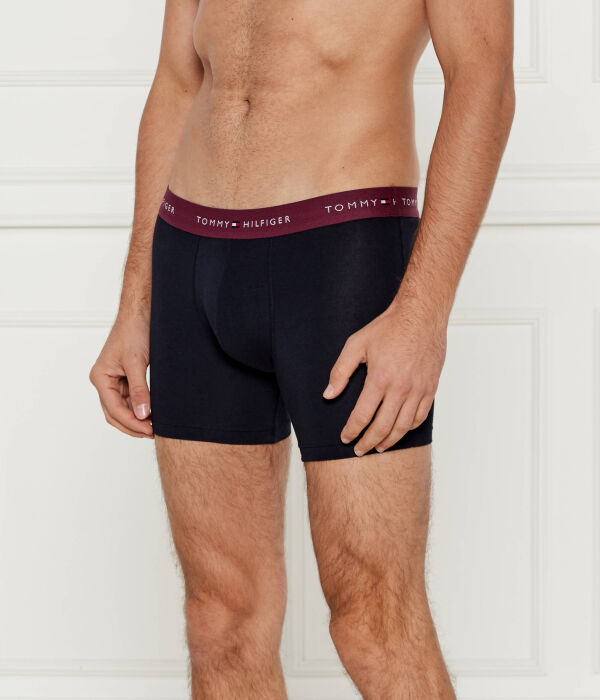 Боксеры мужские Tommy Hilfiger с логотипом, синий/бордовый
Боксеры мужские Tommy Hilfiger с логотипом, синий/бордовый