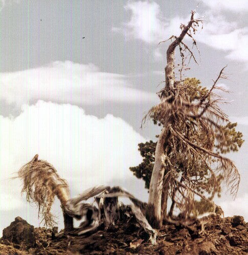 Виниловая пластинка People of the North: Sleep Formations 
Виниловая пластинка People of the North: Sleep Formations