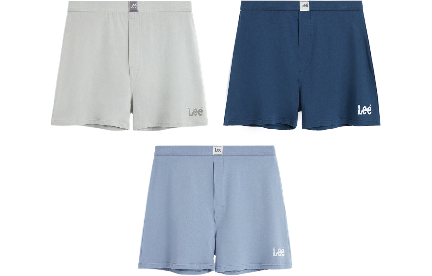 Мужские трусы-шорты Arrow Lee, синий
Мужские трусы-шорты Arrow Lee, синий