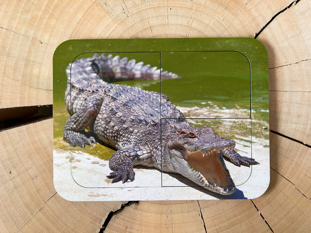 Крокодил, деревянный пазл с четырьмя элементами, основа с подписью, первый пазл Inna marka
Крокодил, деревянный пазл с четырьмя элементами, основа с подписью, первый пазл Inna marka