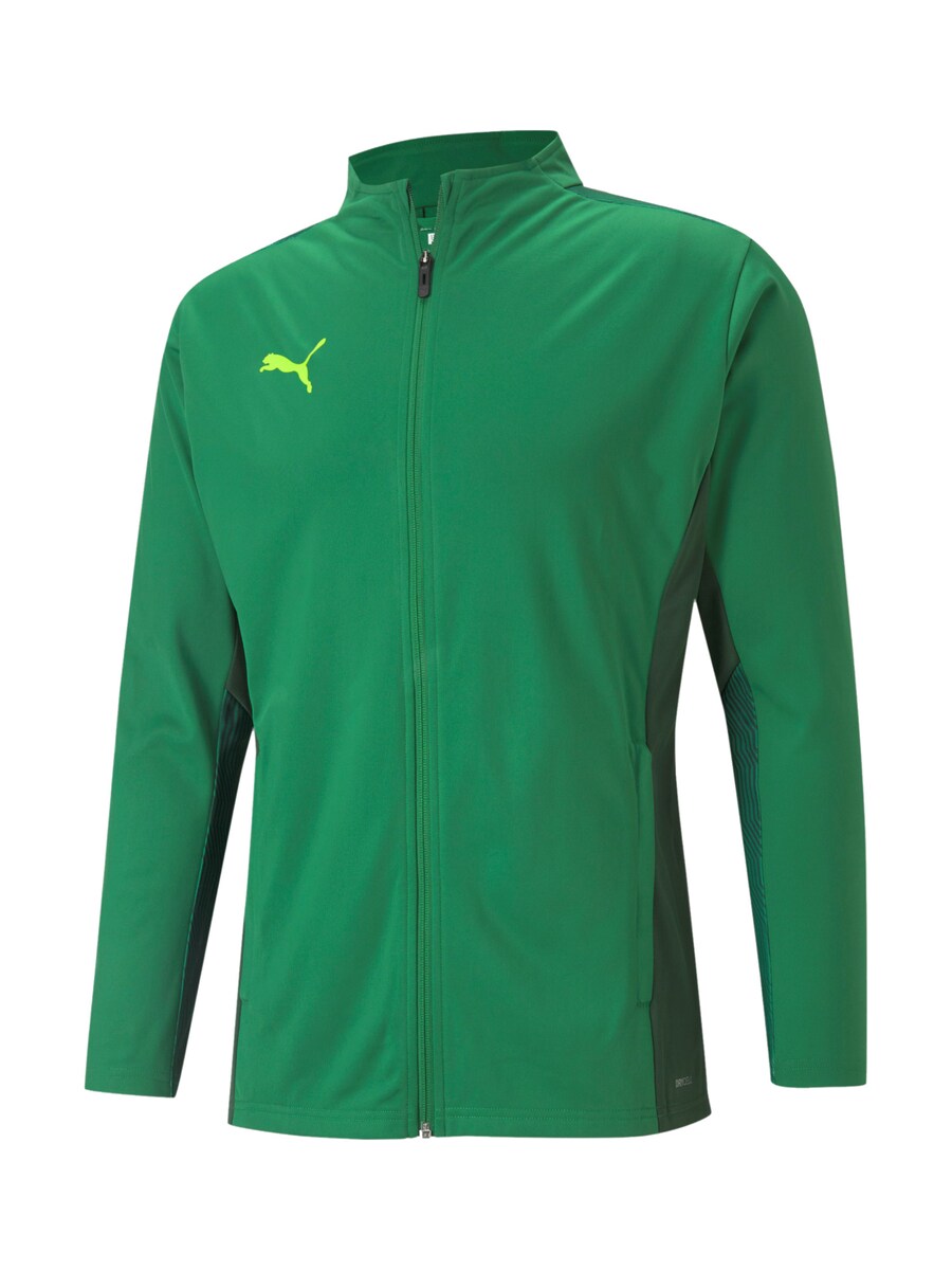Тренировочная куртка PUMA, цвет Grass green/Dark green
Тренировочная куртка PUMA, цвет Grass green/Dark green