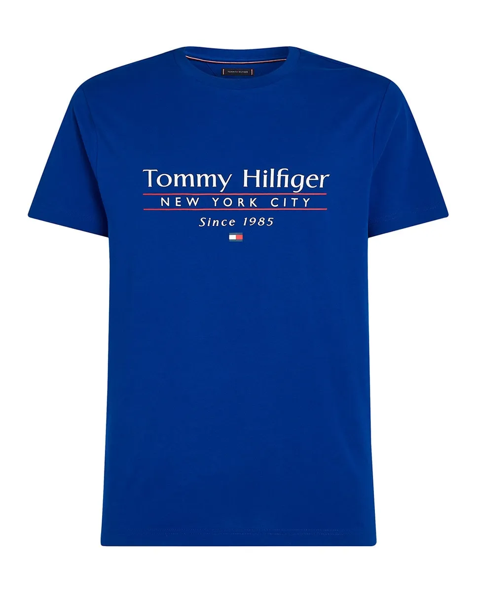 Мужская футболка с фирменным принтом на груди, большие размеры Tommy Hilfiger, синий
Мужская футболка с фирменным принтом на груди, большие размеры Tommy Hilfiger, синий