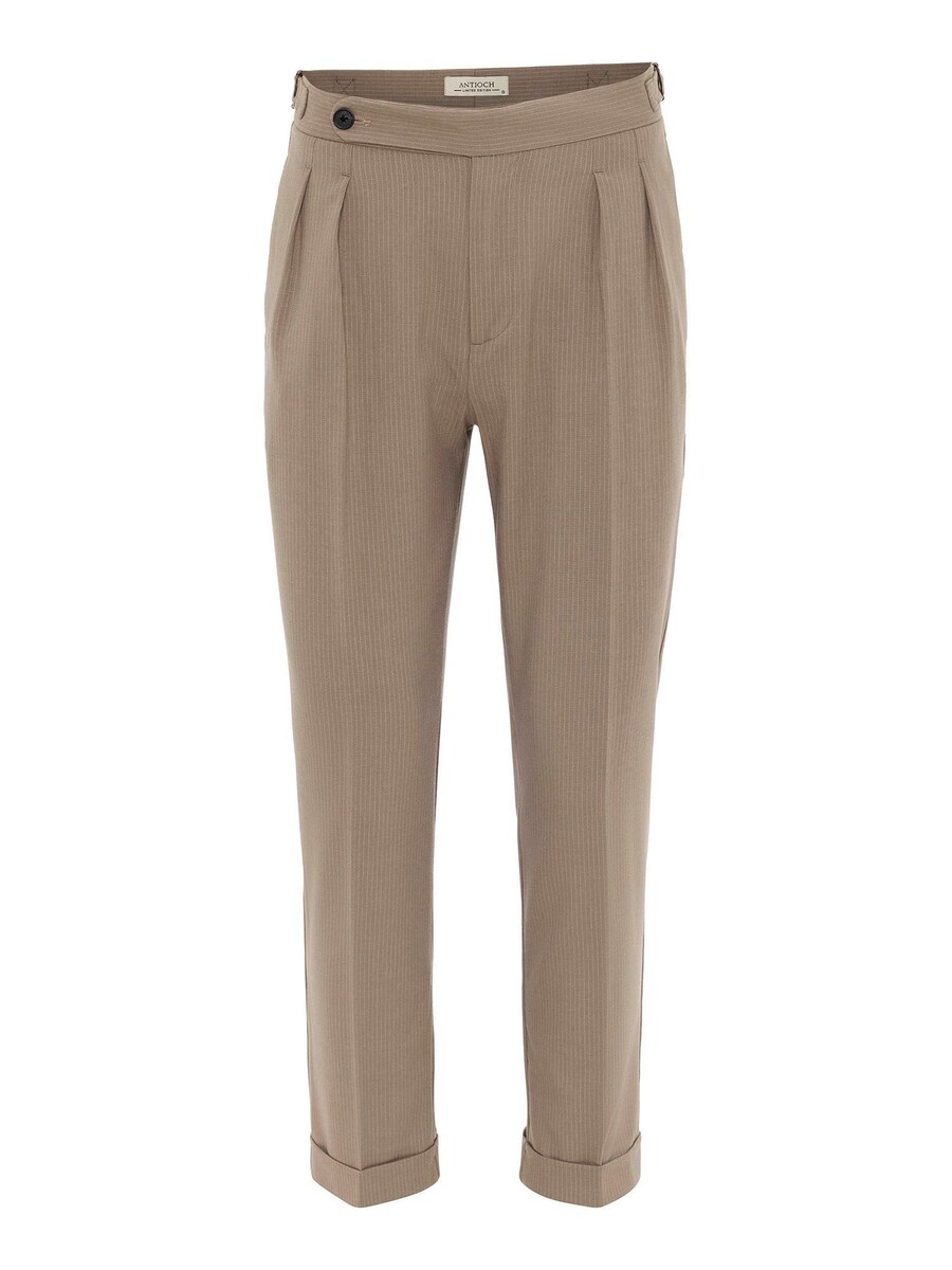 Обычные брюки в складку Antioch Eladio, цвет Mocha
Обычные брюки в складку Antioch Eladio, цвет Mocha