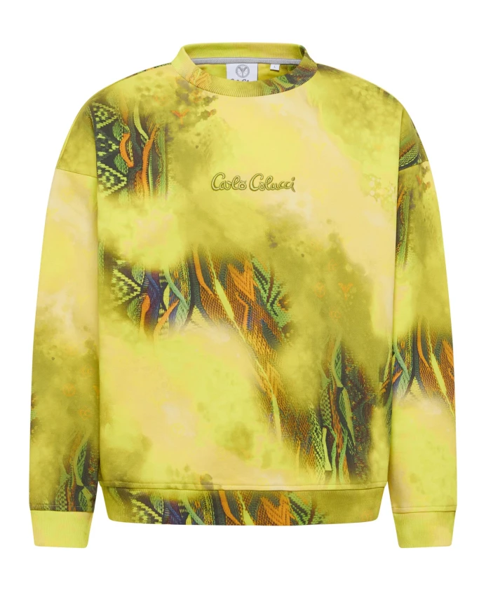 Динамичная трикотажная толстовка оверсайз Carlo Colucci, мультиколор
Динамичная трикотажная толстовка оверсайз Carlo Colucci, мультиколор