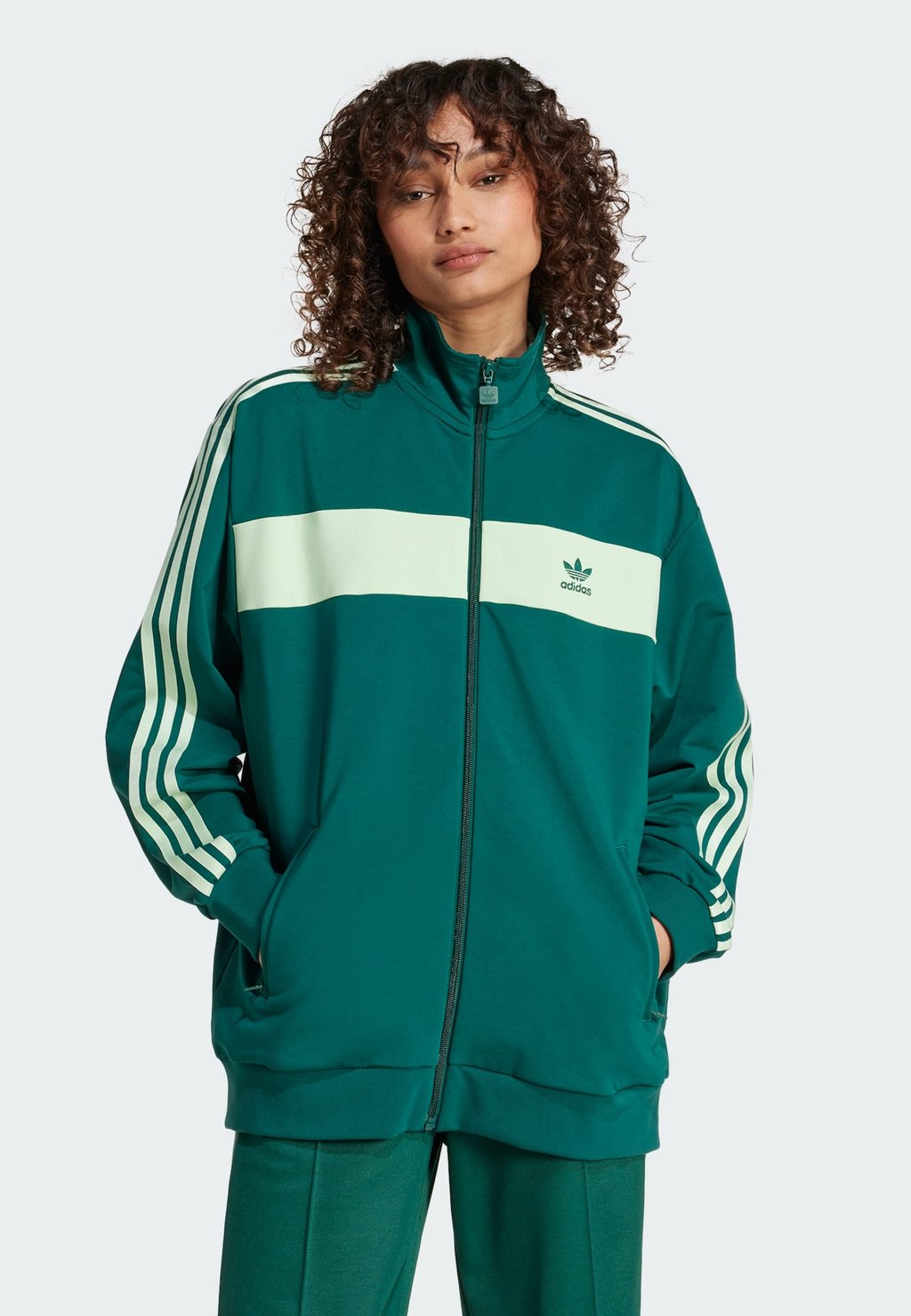 Толстовка на молнии BLOCKED Adidas Originals, темно-зеленый
Толстовка на молнии BLOCKED Adidas Originals, темно-зеленый