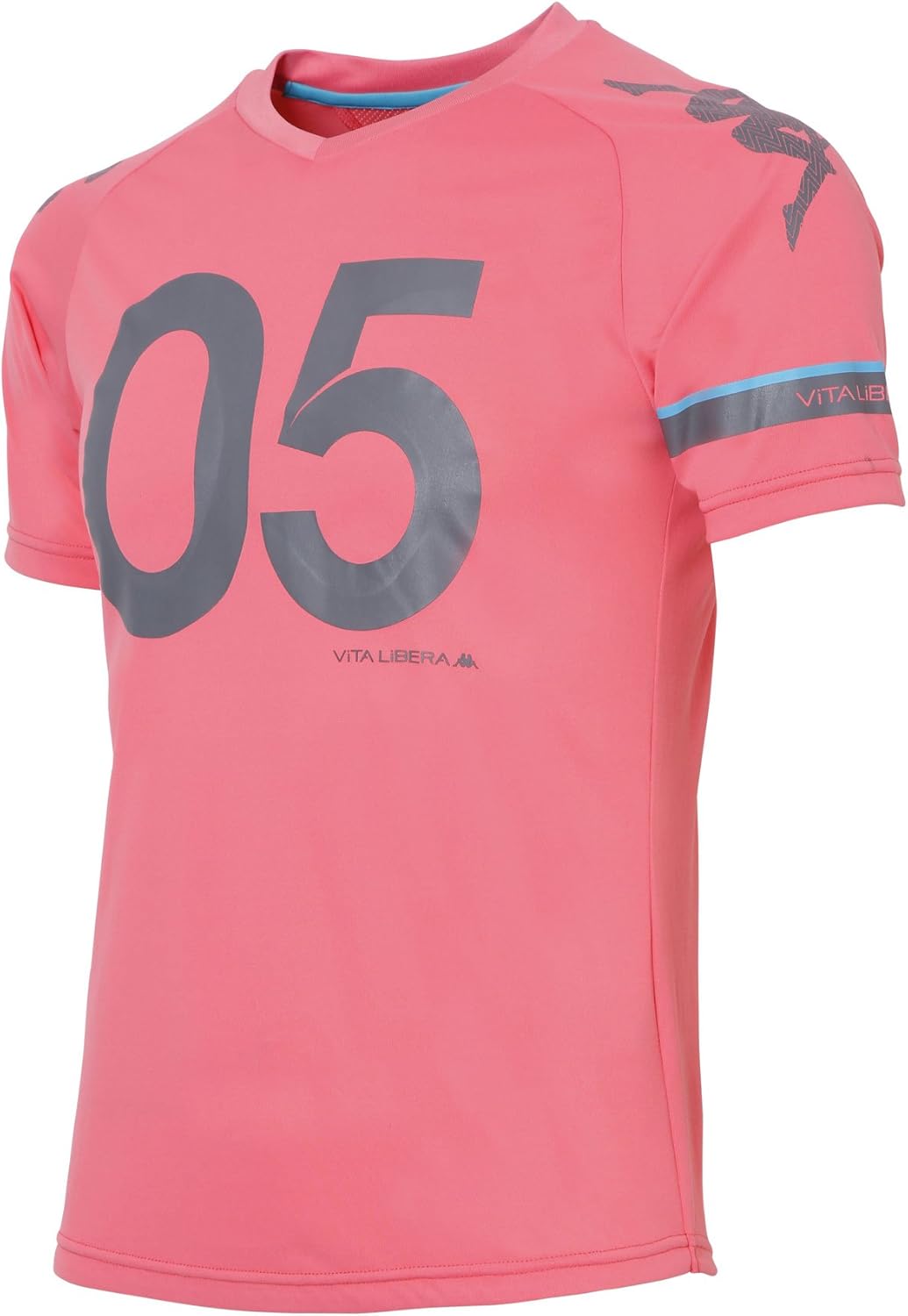 Мужская спортивная футболка Kappa KM612TS41, розовый
Мужская спортивная футболка Kappa KM612TS41, розовый