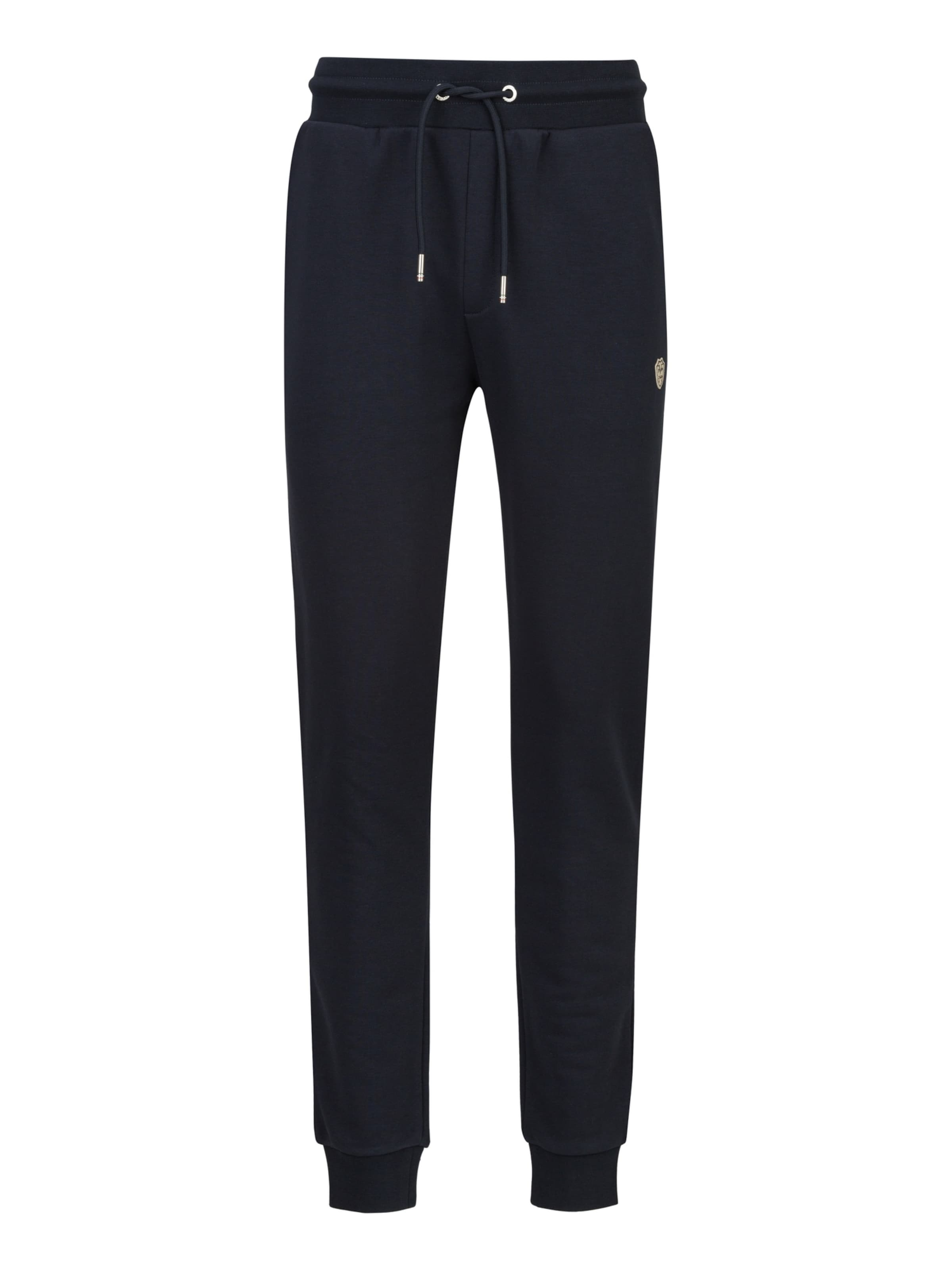 19V69 ITALIA Брюки Regular 'Lucas' в цвете Navy
19V69 ITALIA Брюки Regular 'Lucas' в цвете Navy