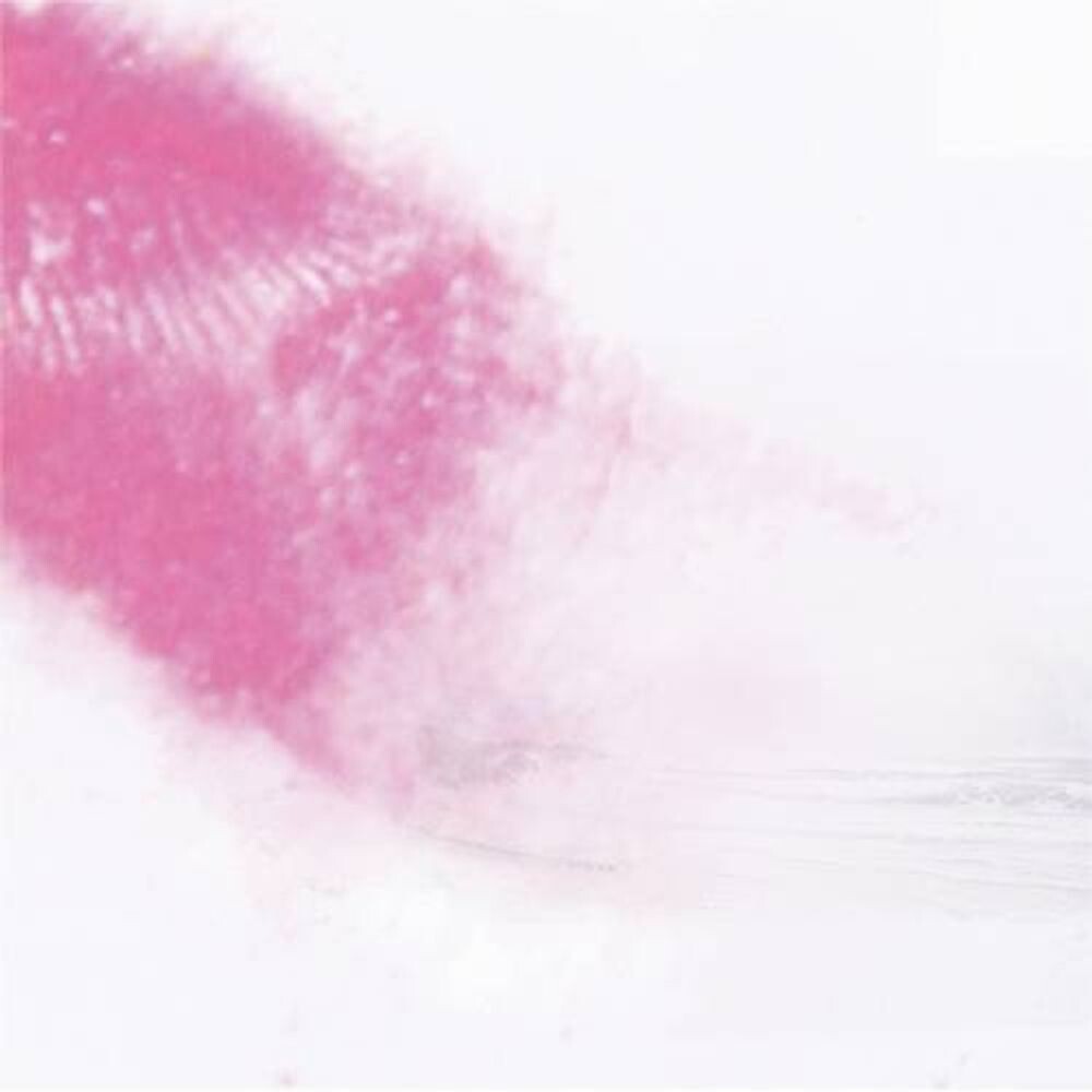 Диск CD The Long Shadow Of The Paper Tiger - Mahjongg 
Диск CD The Long Shadow Of The Paper Tiger - Mahjongg