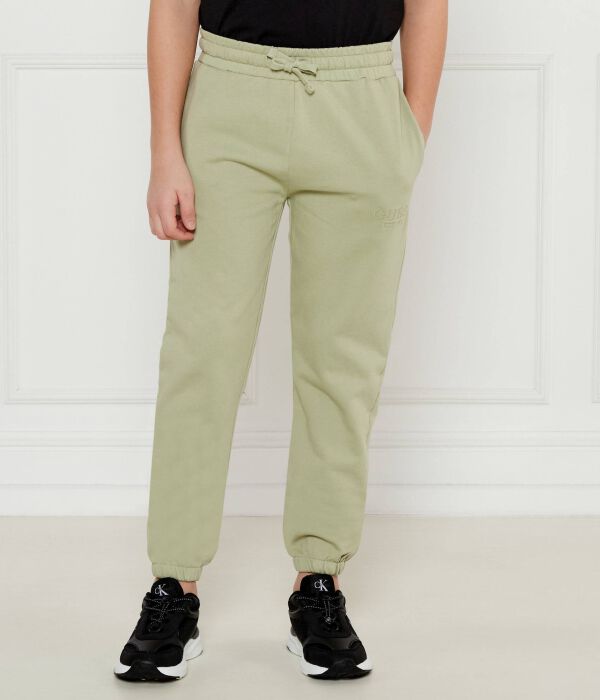 Брюки Regular fit Guess, зеленый
Брюки Regular fit Guess, зеленый