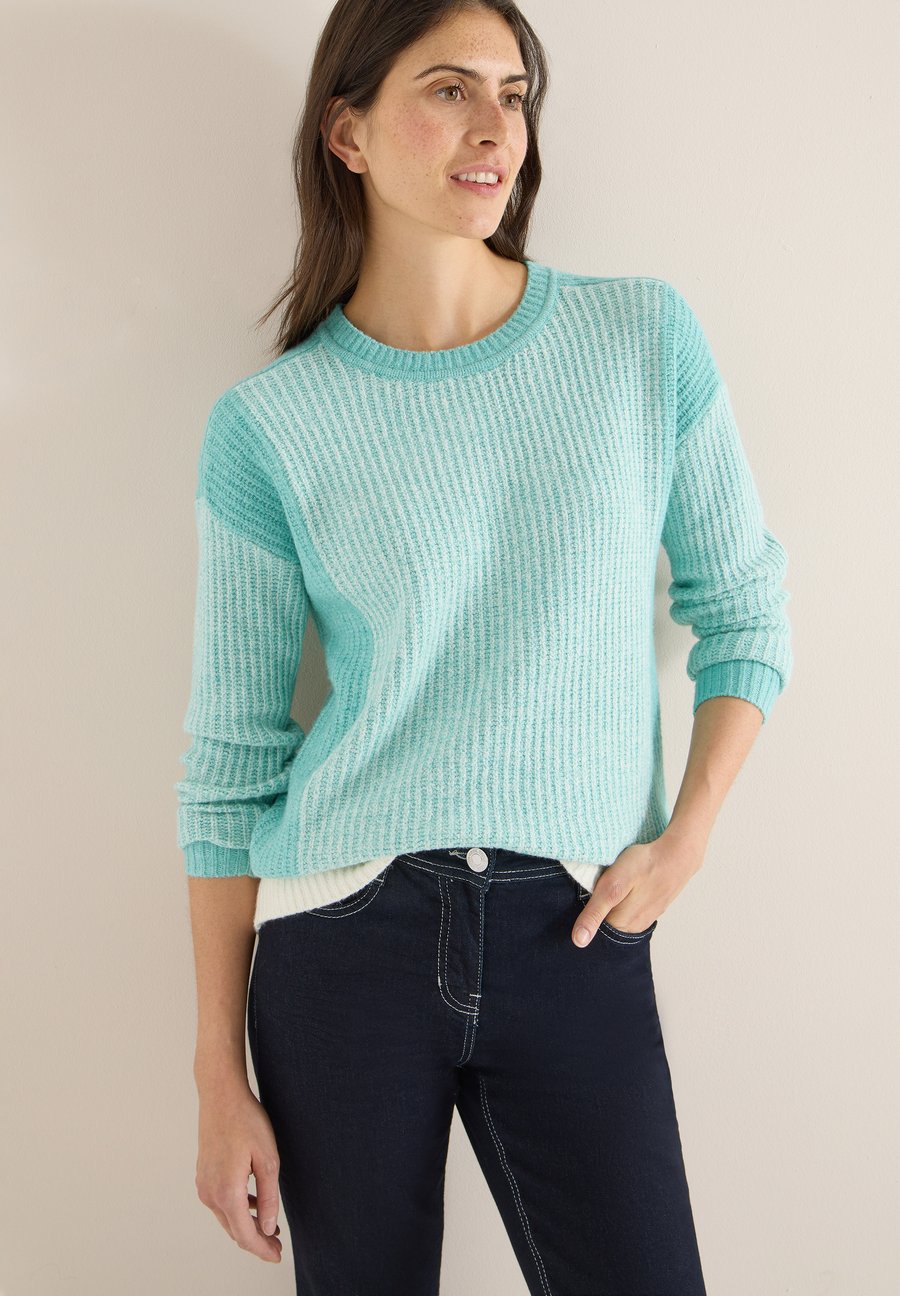 Джемпер Cecil SOFTER , Blau/Turquoise
Джемпер Cecil SOFTER , Blau/Turquoise