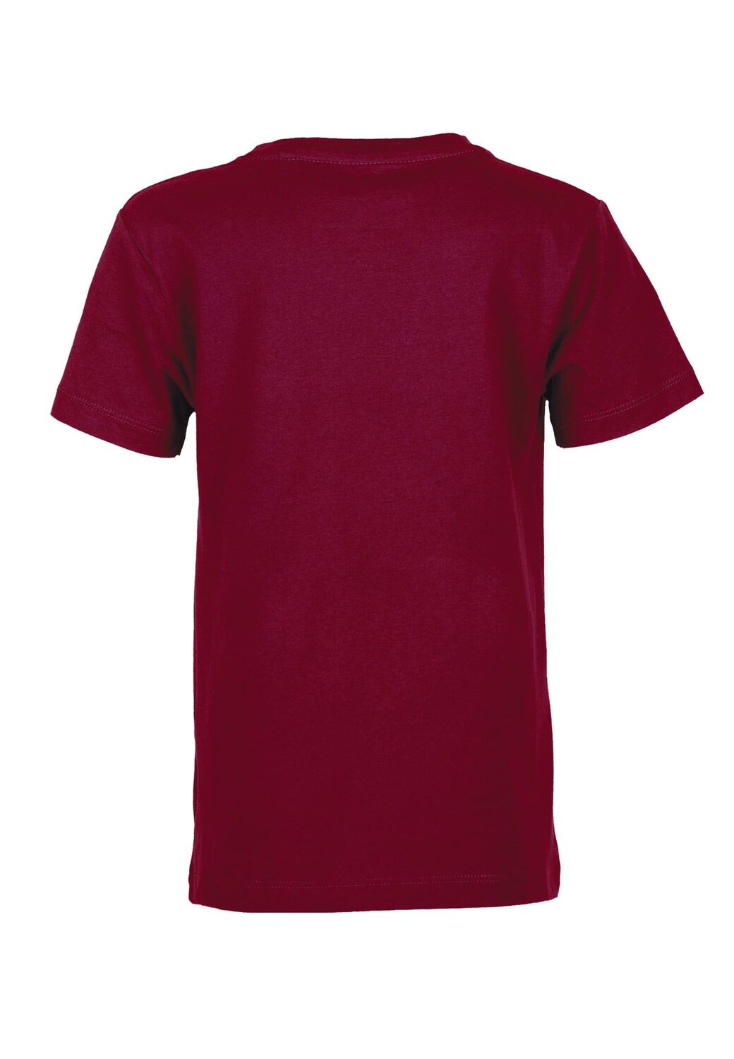 Базовая футболка Band of Rascals, цвет Brick-Red
Базовая футболка Band of Rascals, цвет Brick-Red