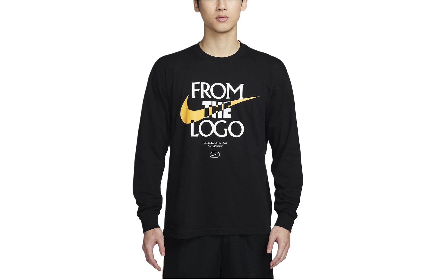 Мужская футболка Nike, цвет Black
Мужская футболка Nike, цвет Black