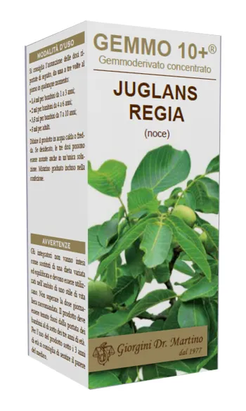 Грецкий орех 100 мл Analco Gemmo 10+ Dr. Giorgini
Грецкий орех 100 мл Analco Gemmo 10+ Dr. Giorgini