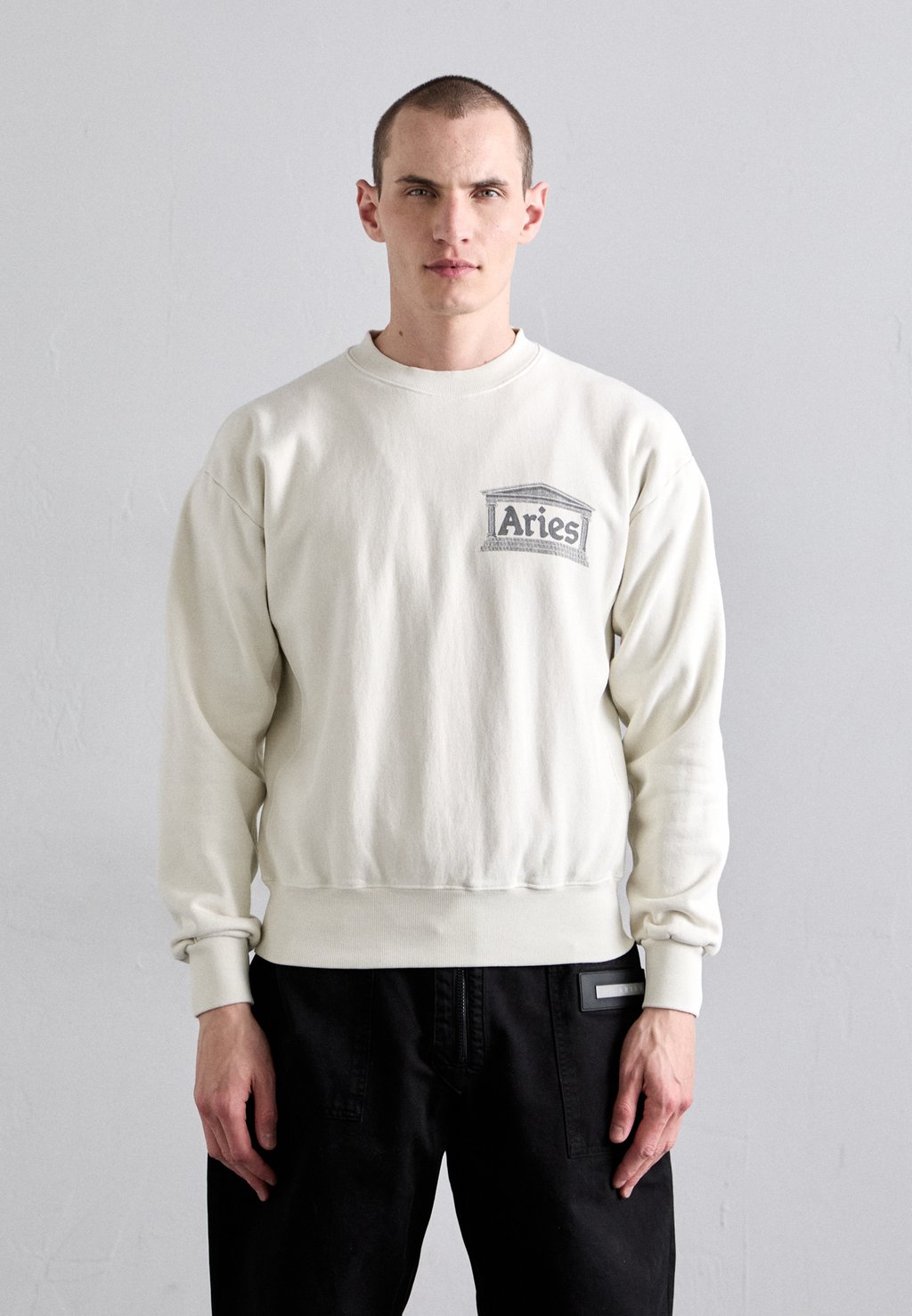 Толстовка PREMIUM AGED TEMPLE Aries, светло-серый
Толстовка PREMIUM AGED TEMPLE Aries, светло-серый