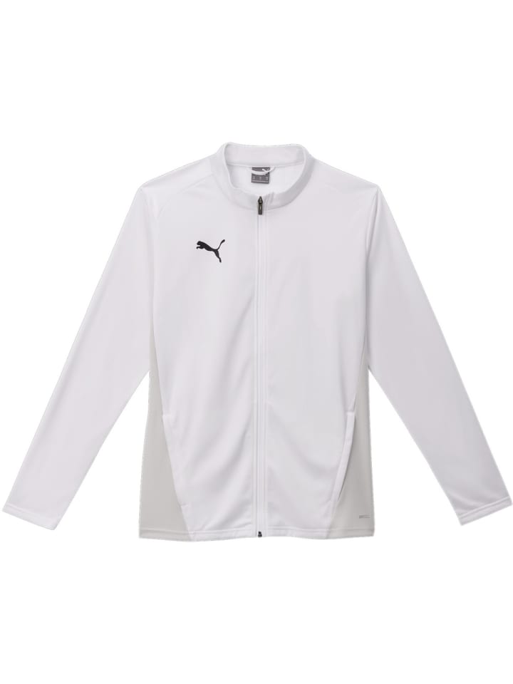 Тренировочная куртка TeamGoal белого цвета Puma
Тренировочная куртка TeamGoal белого цвета Puma