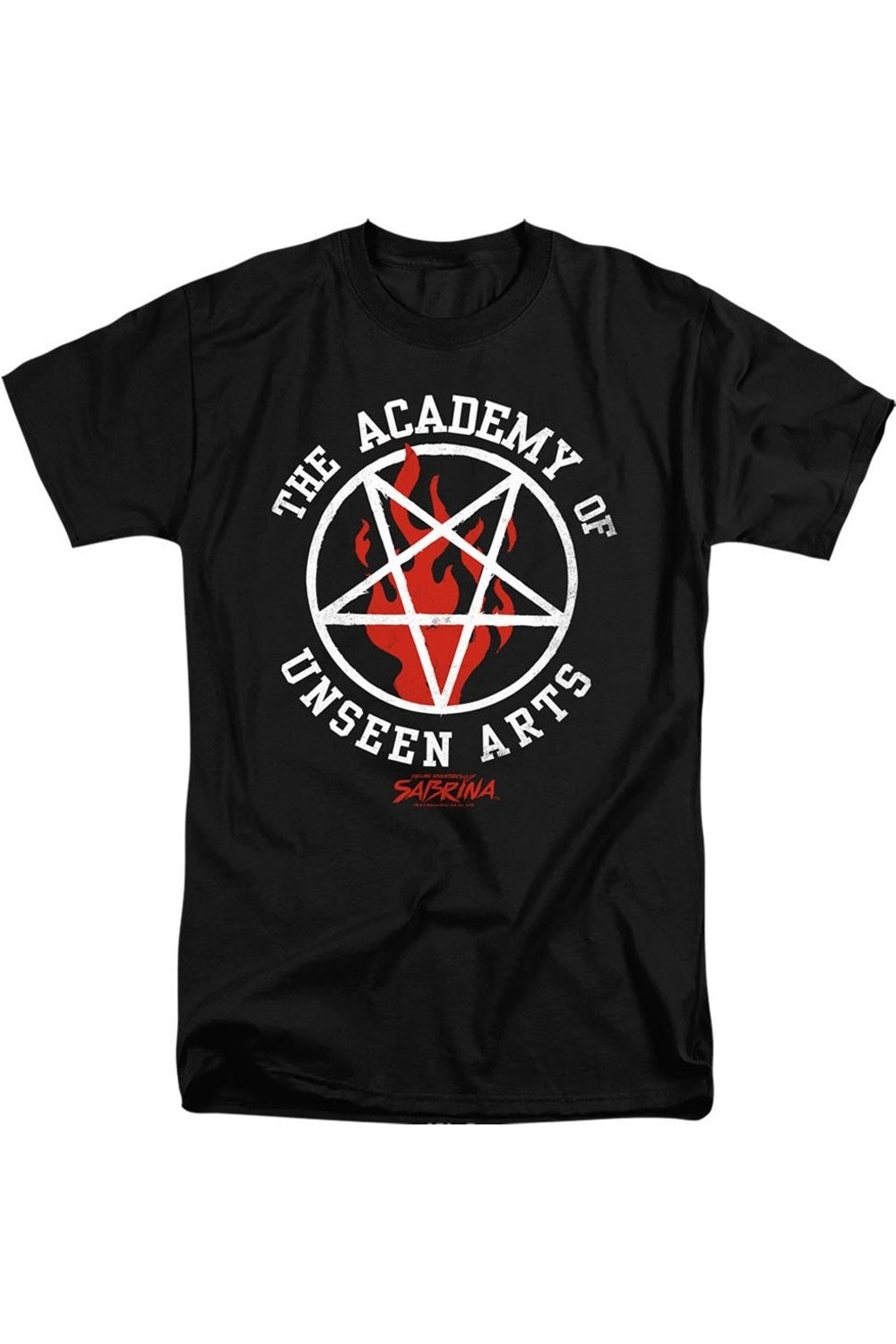 Леденящие душу приключения Сабрины Академия невидимых искусств короткий рукав взрослая высокая футболка / футболка Gildan, черный
Леденящие душу приключения Сабрины Академия невидимых искусств короткий рукав взрослая высокая футболка / футболка Gildan, черный