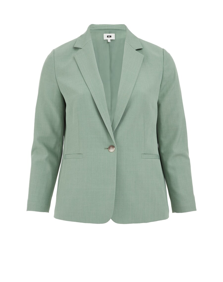 Блейзер WE Fashion, пастельный зеленый
Блейзер WE Fashion, пастельный зеленый