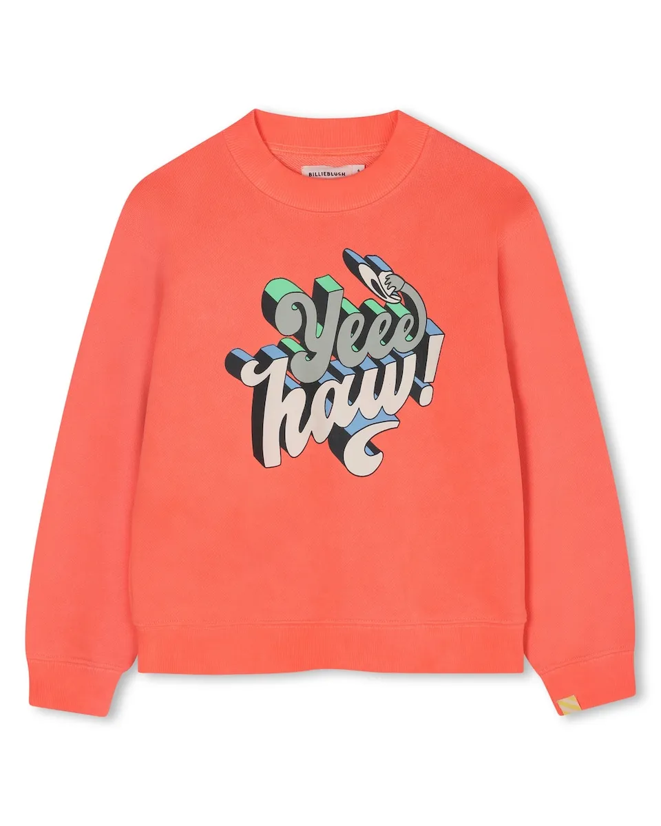 Детская хлопковая толстовка с круглым вырезом Billieblush, коралловый
Детская хлопковая толстовка с круглым вырезом Billieblush, коралловый