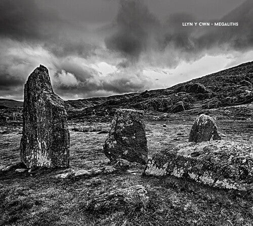 CD диск Llyn / Cwn: Megaliths
CD диск Llyn / Cwn: Megaliths