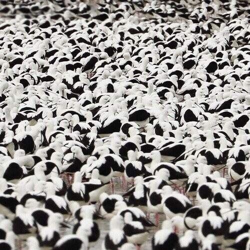 Виниловая пластинка Donnelly, Stella - Flood - Opaque Red
Виниловая пластинка Donnelly, Stella - Flood - Opaque Red