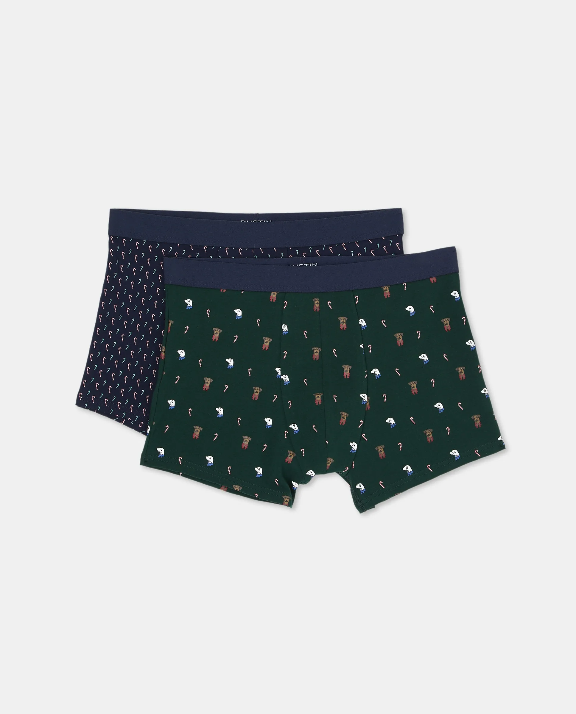Набор из 2 мужских боксеров с фантазийным узором Dustin, зеленый
Набор из 2 мужских боксеров с фантазийным узором Dustin, зеленый