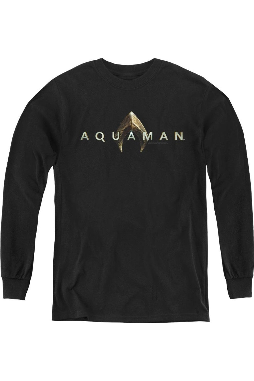 Футболка с длинным рукавом для подростков с логотипом фильма "Аквамен" Gildan, черный
Футболка с длинным рукавом для подростков с логотипом фильма "Аквамен" Gildan, черный