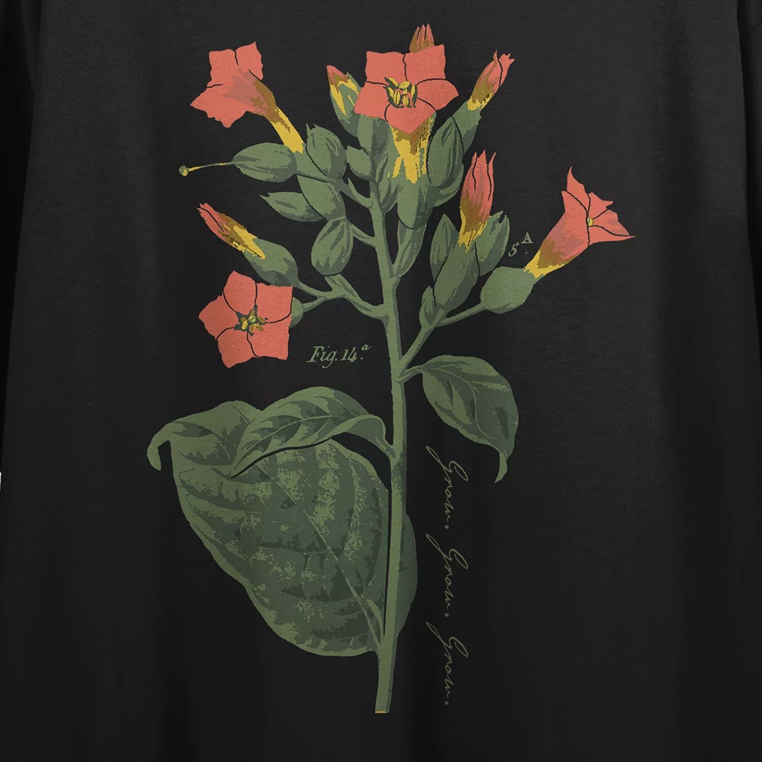 Детская винтажная футболка с рисунком ботанического сигарного растения
Детская винтажная футболка с рисунком ботанического сигарного растения