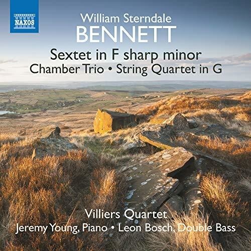 CD диск Bennett / Bosch / Villiers Quartet: Sextet in F Sharp Minor / String Quartet in G
CD диск Bennett / Bosch / Villiers Quartet: Sextet in F Sharp Minor / String Quartet in G