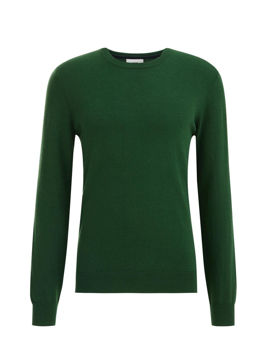 Свитер WE Fashion, светло-зеленый
Свитер WE Fashion, светло-зеленый