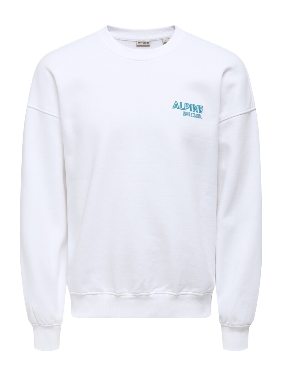 Толстовка Only & Sons ONSCERES SKI, белый
Толстовка Only & Sons ONSCERES SKI, белый