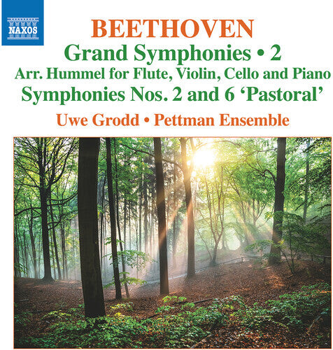 CD диск Beethoven / Grodd / Pettman Ensemble: Grand Symphonies Vol 2 - Nos 2 & 6
CD диск Beethoven / Grodd / Pettman Ensemble: Grand Symphonies Vol 2 - Nos 2 & 6