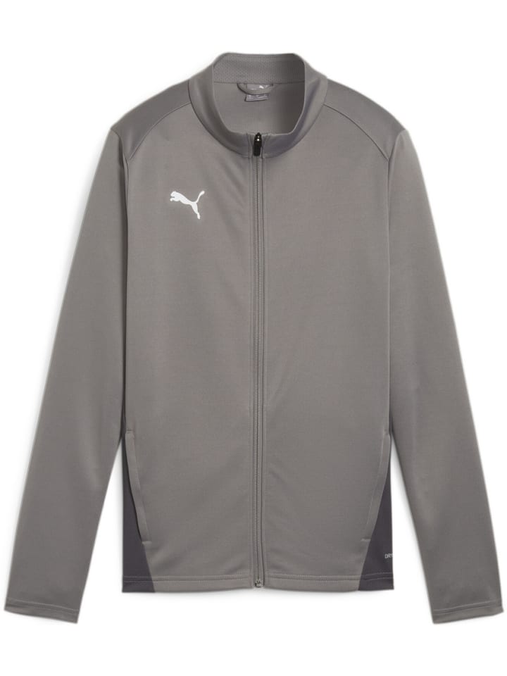 Тренировочная куртка TeamGoal Training Jacket Wmn серого цвета Puma
Тренировочная куртка TeamGoal Training Jacket Wmn серого цвета Puma