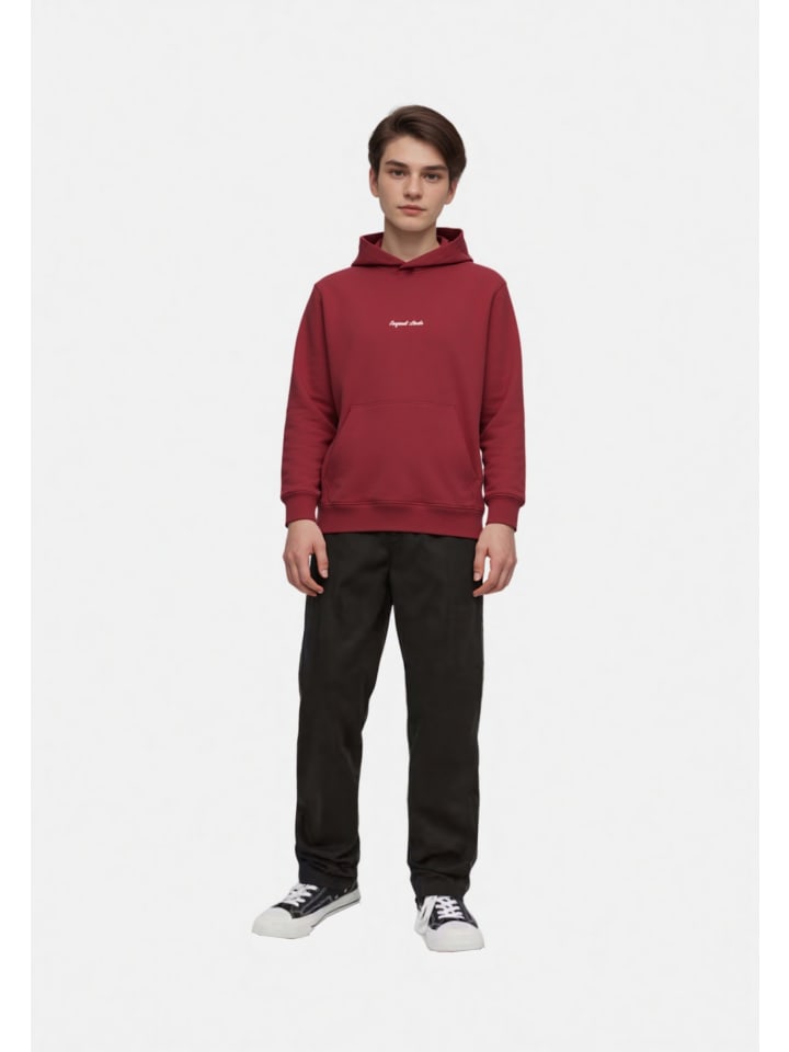 Толстовка Norrebro красного цвета JACK & JONES Junior
Толстовка Norrebro красного цвета JACK & JONES Junior